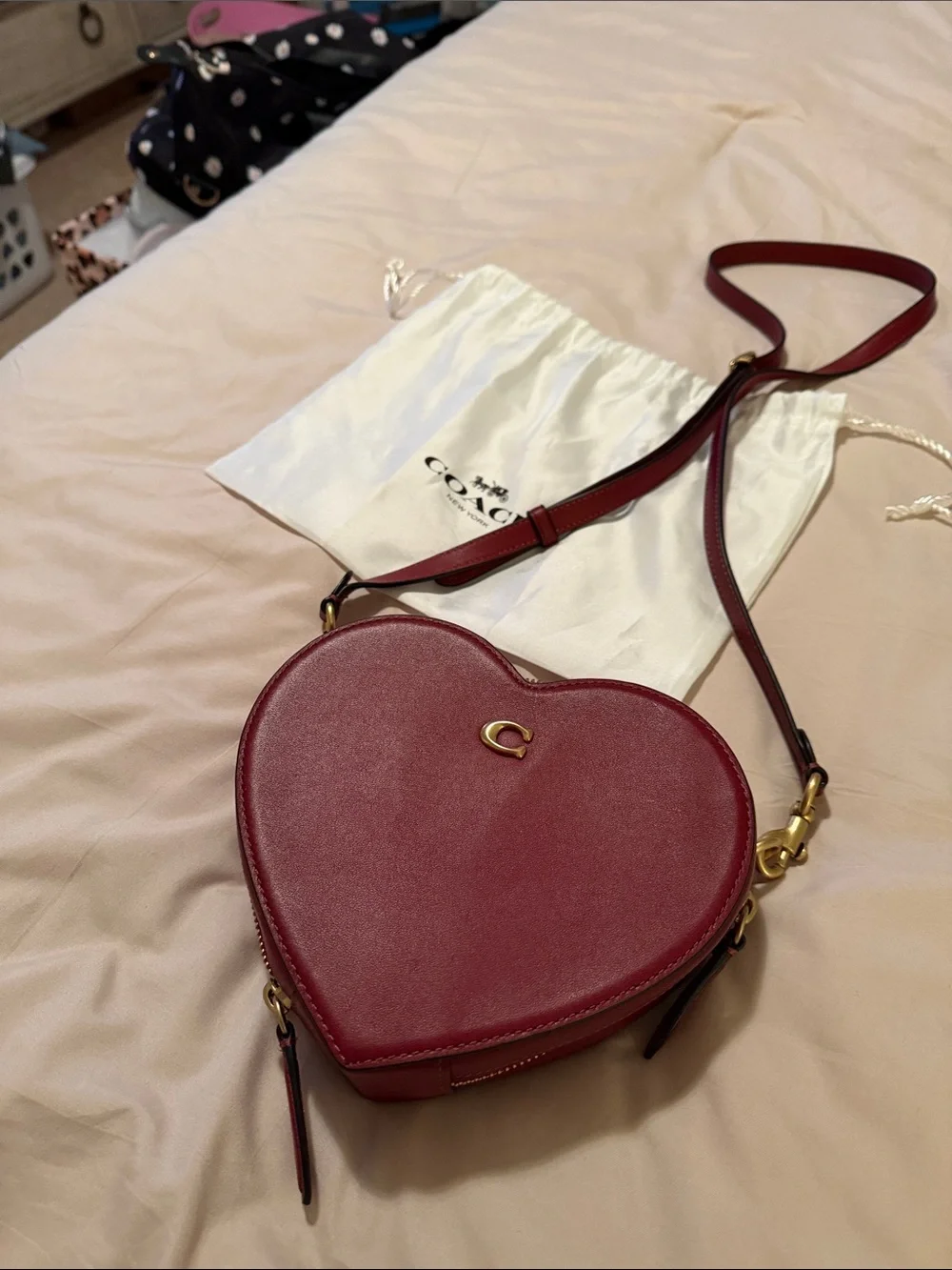 Women's Bag Subcategory Identification